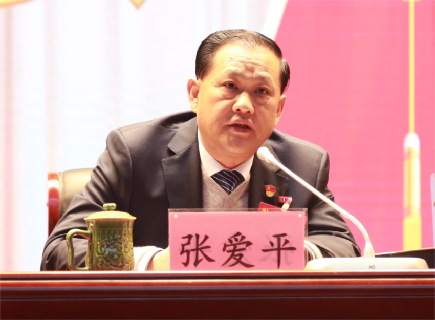 张爱平同志宣读中共爱游戏ayx登录入口,爱游戏(中国)第一届党委成员分工及纪委成员分工